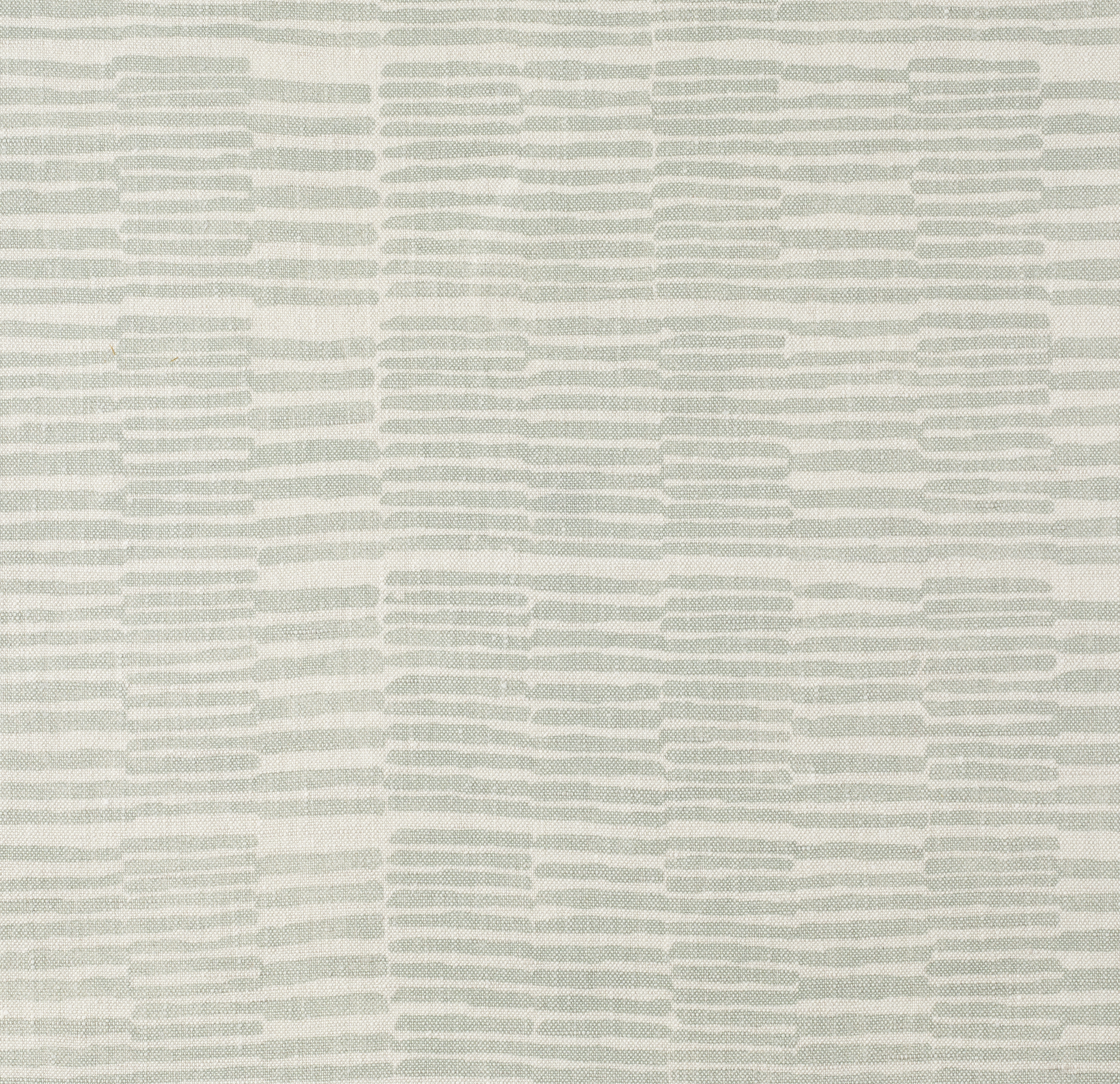Wattle Pattern Raymond Wattle — Field-Grown